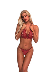 Amorous Wine Red G-String Triangle Cup See Through Bra Sets