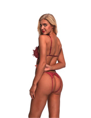 Amorous Wine Red G-String Triangle Cup See Through Bra Sets