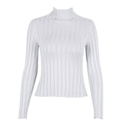 Simplee Turtleneck knitting sweater women Casual cotton knitted winter sweater pullover female 2017 Autumn winter jumper